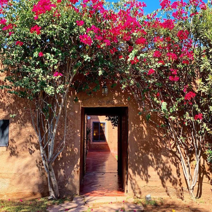 Bed and Breakfast La Ferme Berbere Adult Only El Harkat Экстерьер фото