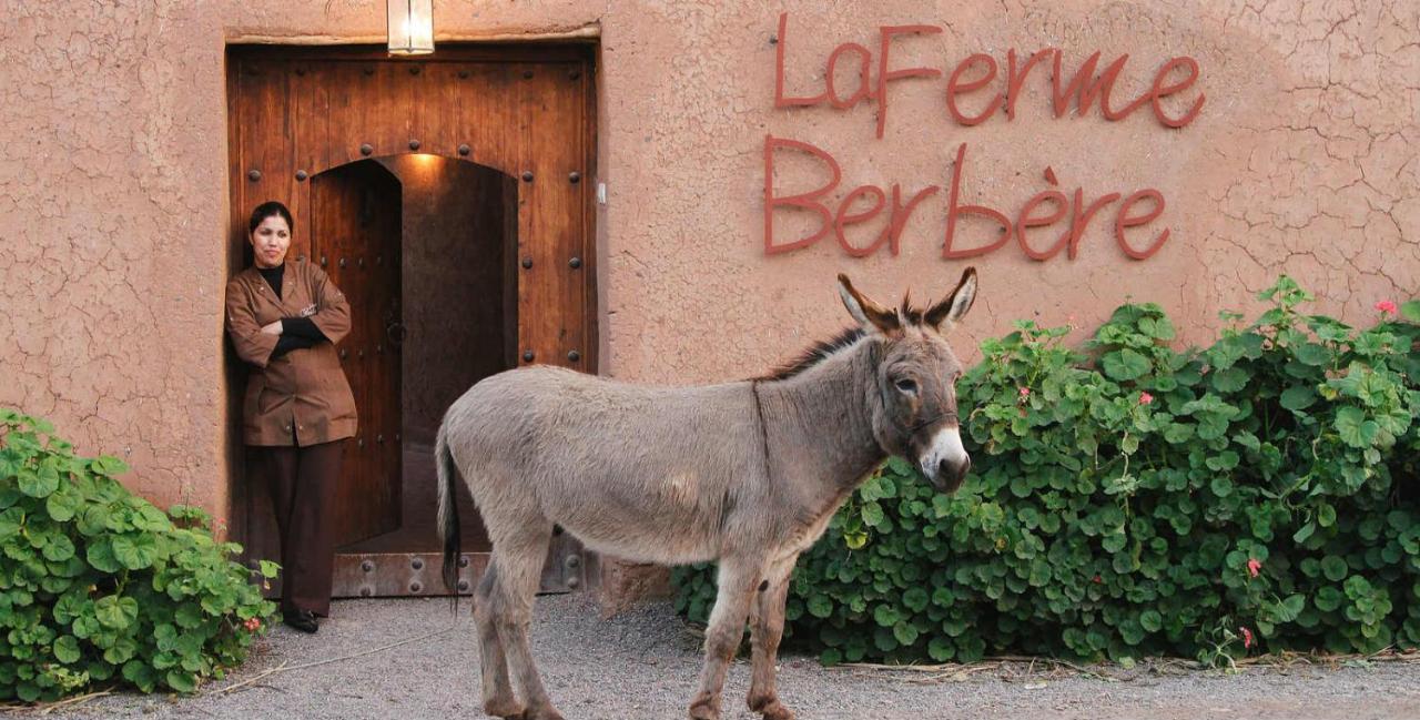 Bed and Breakfast La Ferme Berbere Adult Only El Harkat Экстерьер фото