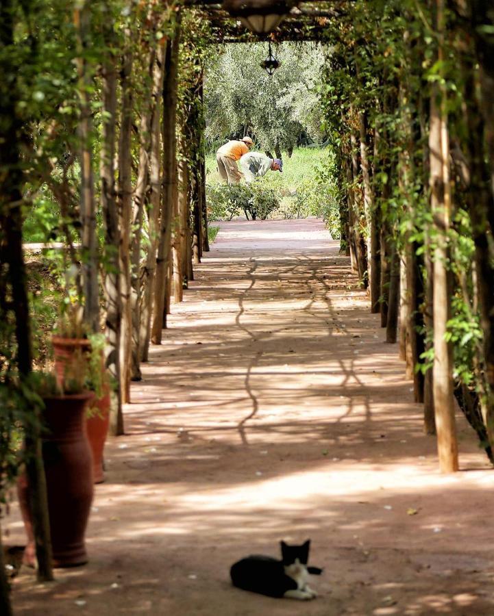 Bed and Breakfast La Ferme Berbere Adult Only El Harkat Экстерьер фото